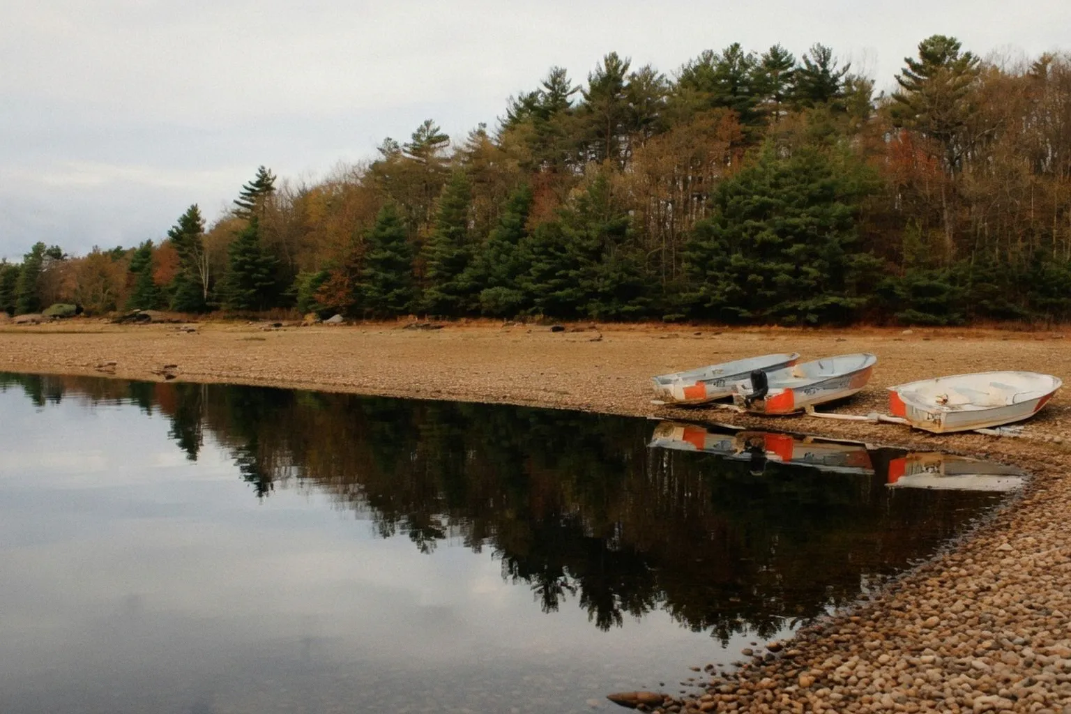 Pourquoi les campings mono-emplacement séduisent les voyageurs en quête d'intimité