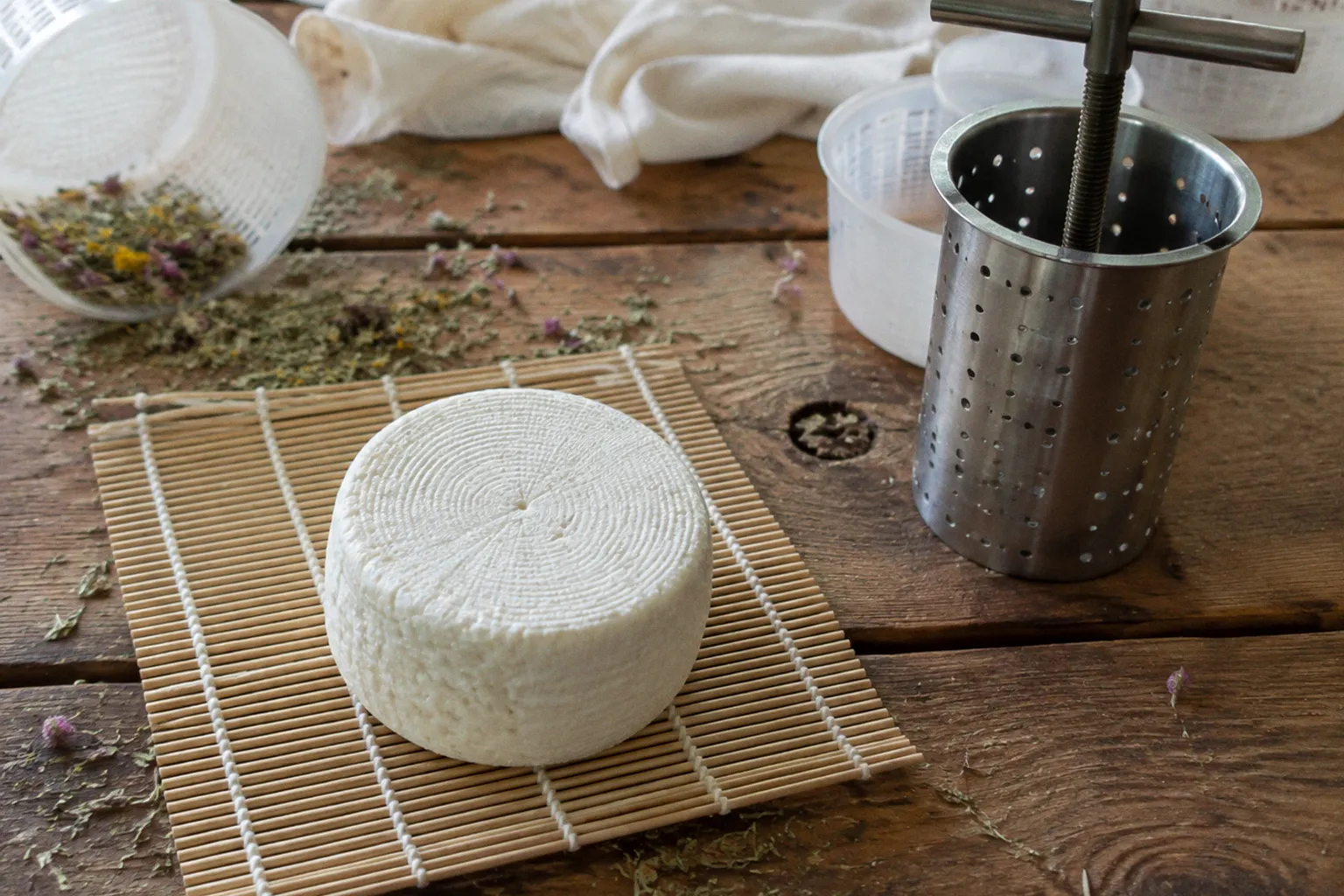 Stage de fromage fermier : votre feuille de route pas à pas