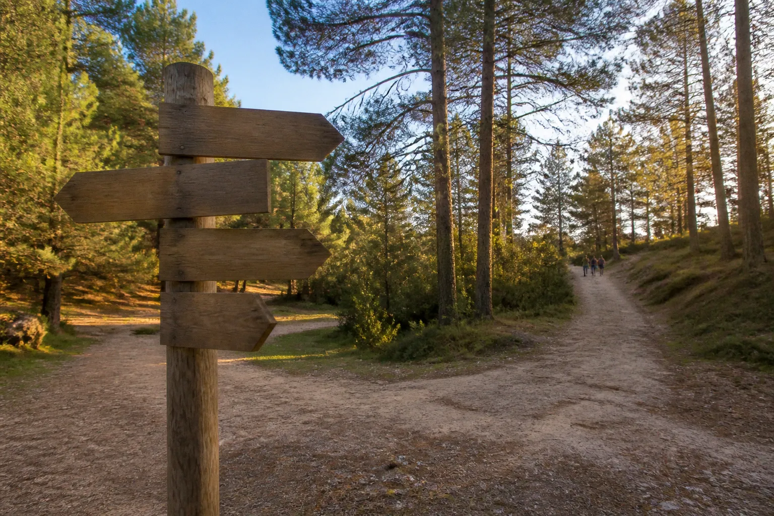 Team building vert : la checklist logistique avant le départ